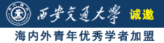 免费插进去诚邀海内外青年优秀学者加盟西安交通大学